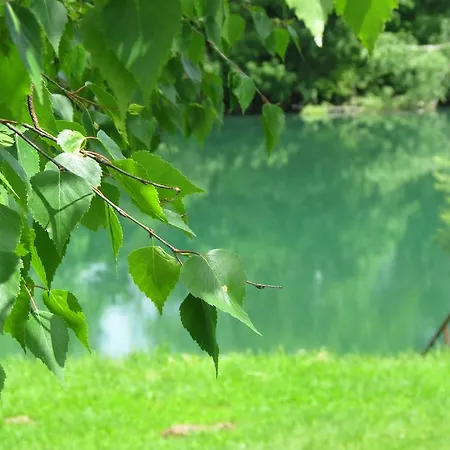 Apartment River Kolpa *