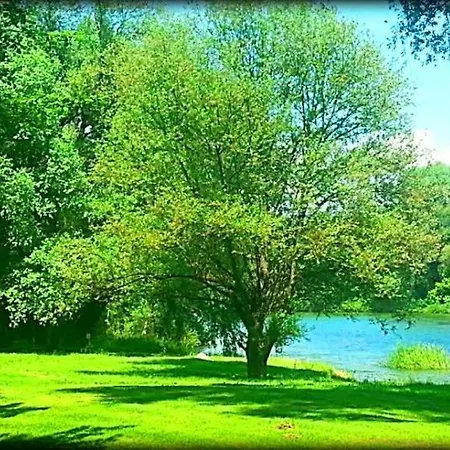 Appartamento River Kolpa *