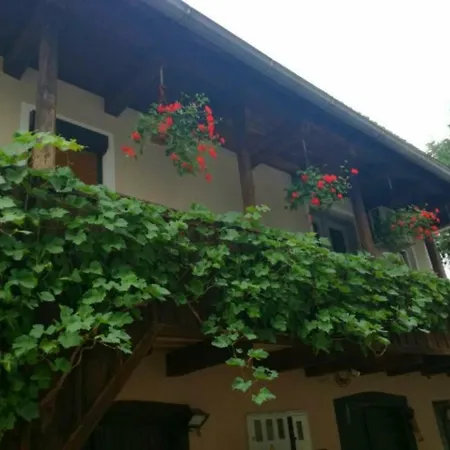 Apartment River Kolpa *